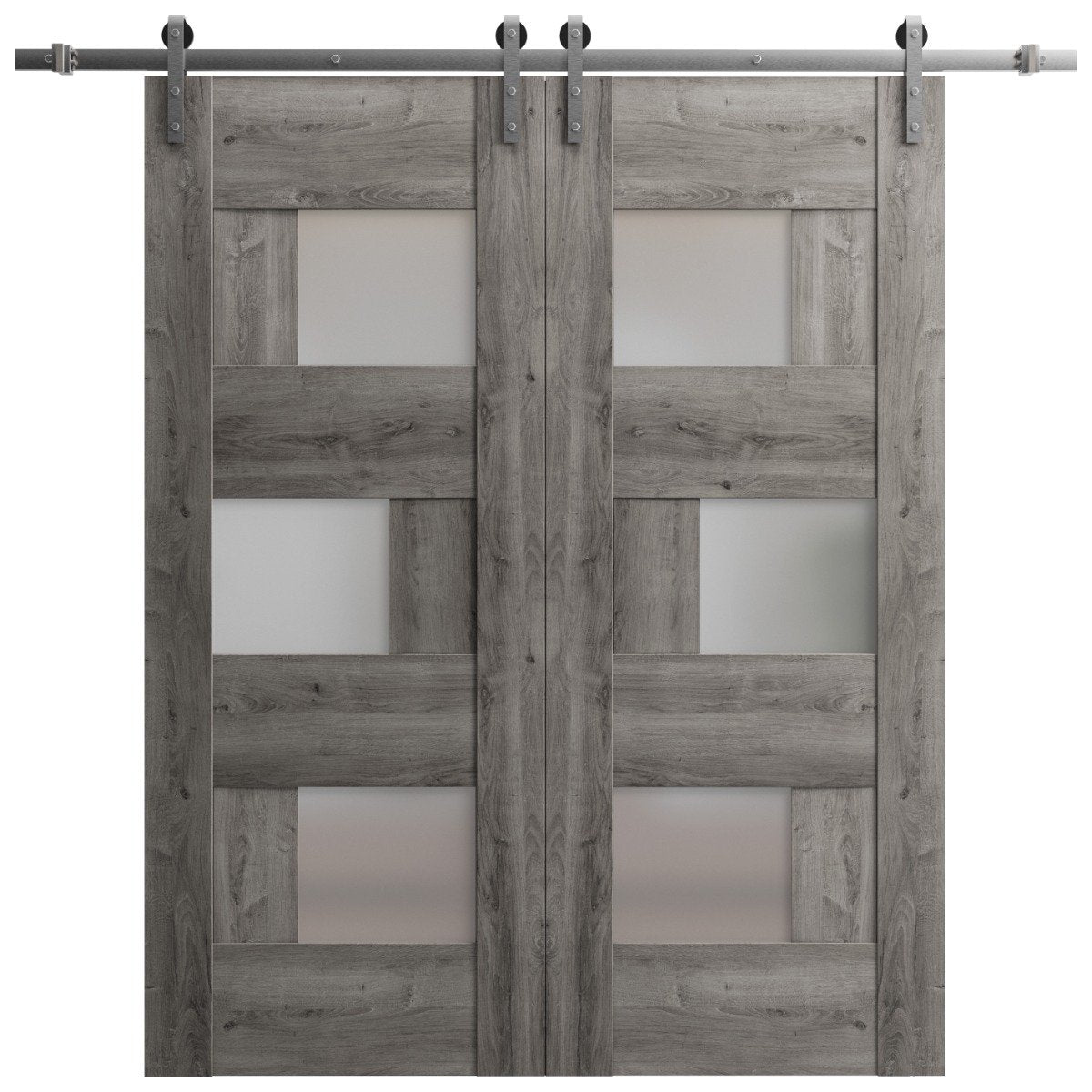 Sturdy Double Barn Door with Frosted Glass