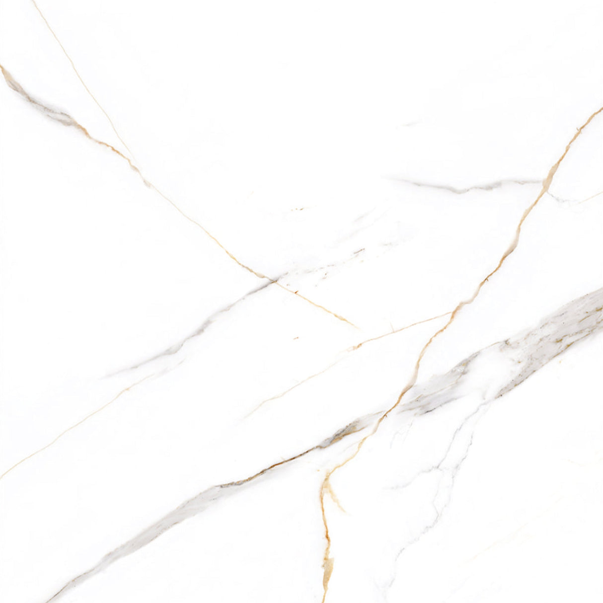 KOLO 9064 Bookmatch Calacatta Goldie High Gloss Porcelain Tile (48x110)